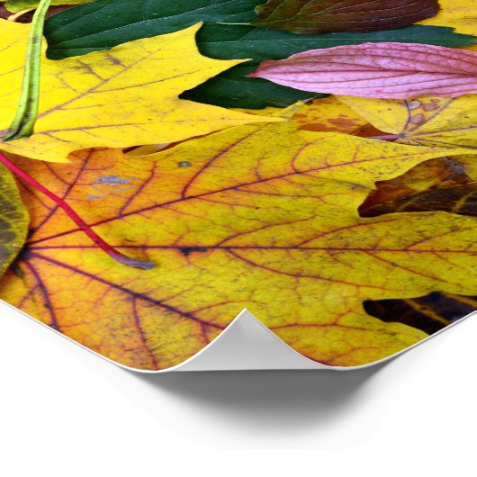 het seizoen van de herfst - boombladtextuur poster (Hoek)