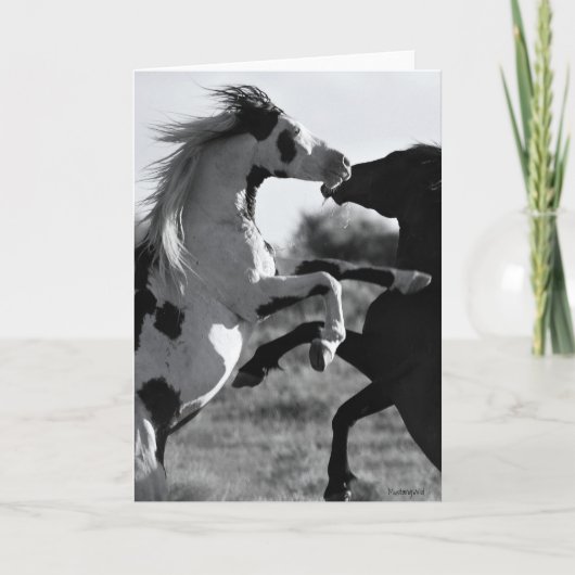 Het "Shaman" Wenskaart Kaart (Voorkant)