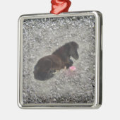 het shetty dier van het paardenpony minihorse metalen ornament (Links)