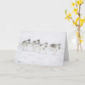 Het Siberische Rennende Team van de Schor Hond van Kaart (Gele Bloem)