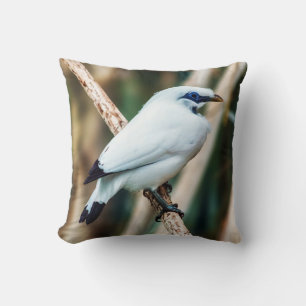 Het Sierkussen van de Vogel van Bali Myna