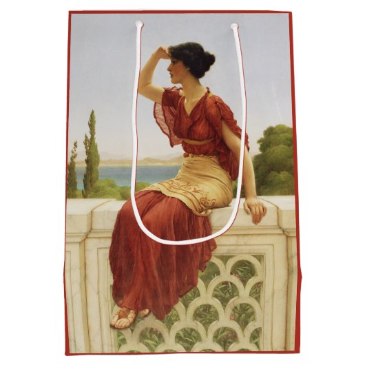 Het Signaal Godward Fine Art  schilderen Medium Cadeauzakje (Achterkant)