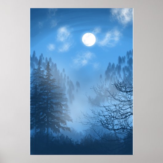 Het Silent Canopy Poster (Voorkant)