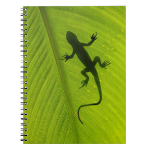 Het Silhouet van de gekko Notitieboek