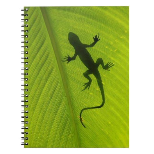 Het Silhouet van de gekko Notitieboek (Voorkant)