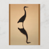 Het Silhouet van de reiger Briefkaart (Voorkant)