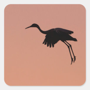 Het silhouet van Sandhill op een roze Vierkante Sticker