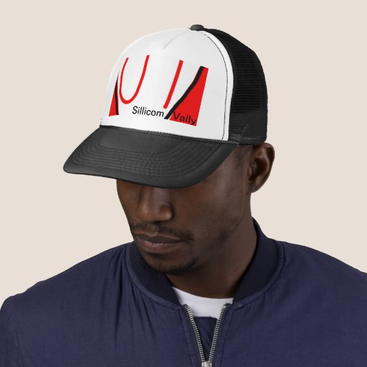 Het Sillicom Vally Logo Pet (In situ)