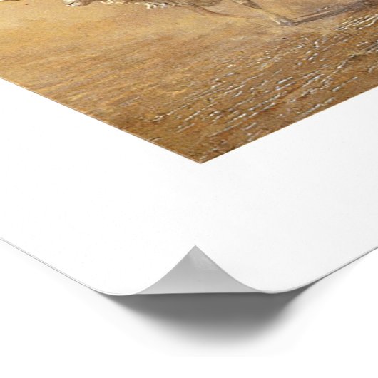 Het Simoom Poster (Hoek)