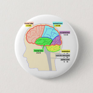 Het simpele cijfer dat het deel van de br bekeek ronde button 5,7 cm