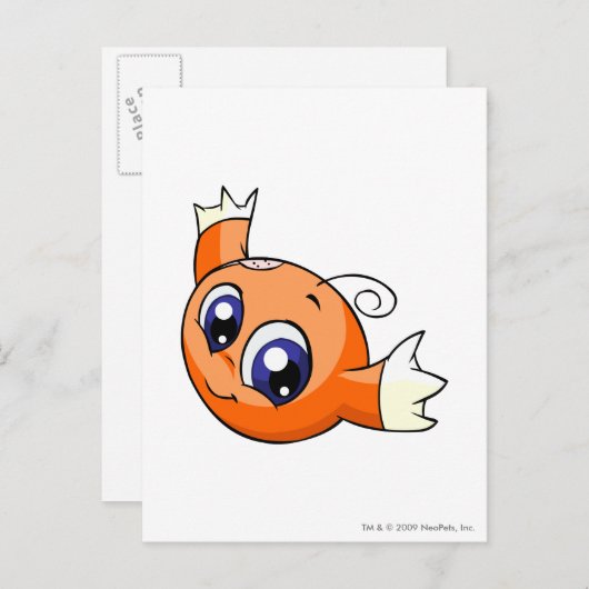 Het Sinaasappel van Kiko Briefkaart (Voorkant / Achterkant)