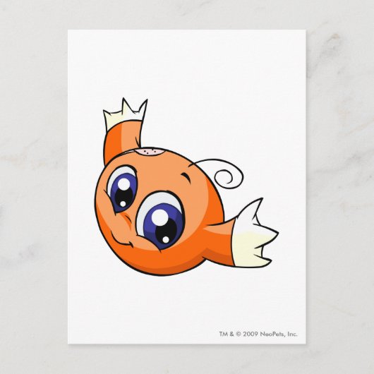 Het Sinaasappel van Kiko Briefkaart (Voorkant)