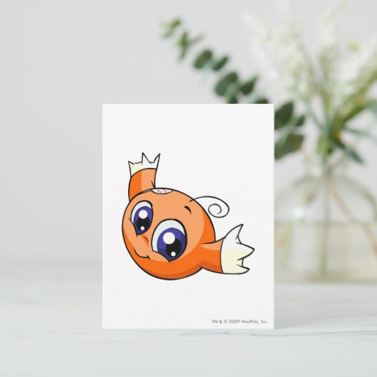 Het Sinaasappel van Kiko Briefkaart (Staand voorkant)