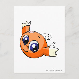 Het Sinaasappel van Kiko Briefkaart