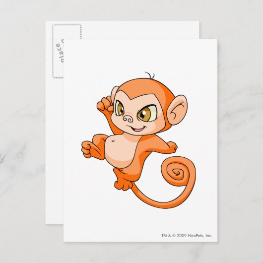 Het Sinaasappel van Mynci Briefkaart (Voorkant / Achterkant)