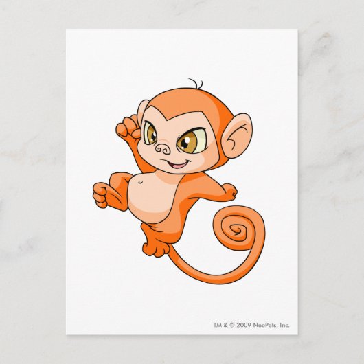 Het Sinaasappel van Mynci Briefkaart (Voorkant)