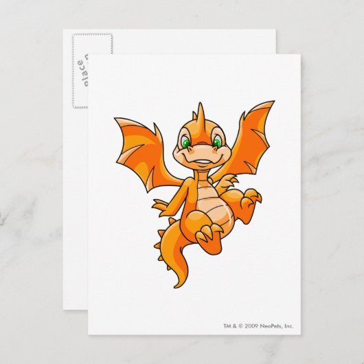 Het Sinaasappel van Scorchio Briefkaart (Voorkant / Achterkant)