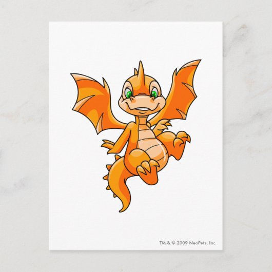 Het Sinaasappel van Scorchio Briefkaart (Voorkant)