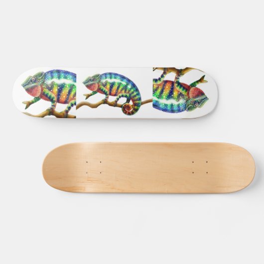 Het skateboard van Chameleon (Horizontaal)
