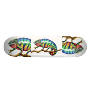 Het skateboard van Chameleon