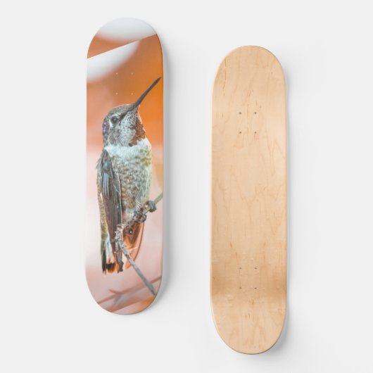 Het skateboard van de vogeljacht (Voorkant)