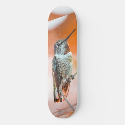 Het skateboard van de vogeljacht (Voorkant)
