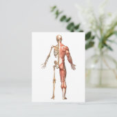 Het skelet en het spierstelsel van de mens briefkaart (Staand voorkant)