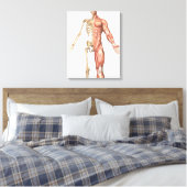 Het skelet van de mens en het spierstelsel aan de canvas afdruk (Insitu (Slaapkamer))