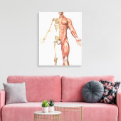 Het skelet van de mens en het spierstelsel aan de canvas afdruk (Insitu (Woonkamer))
