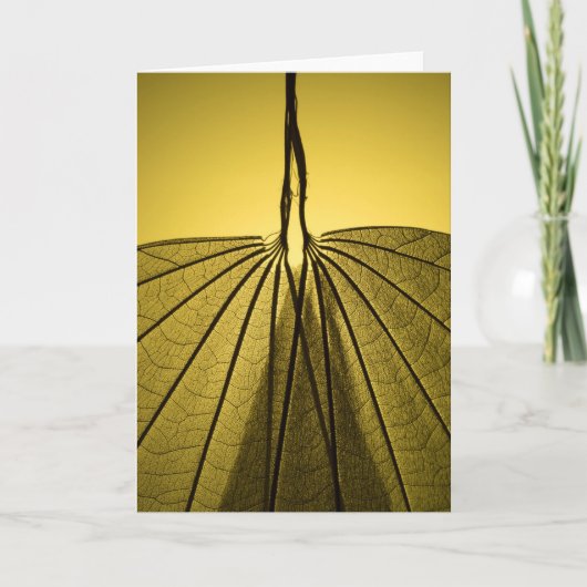 Het Skelet van het blad Kaart (Voorkant)