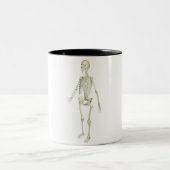 Het skeletsysteem tweekleurige koffiemok (Center)