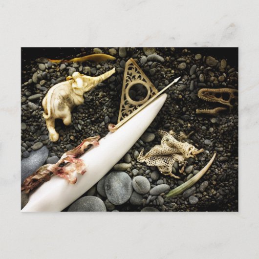 Het slaan briefkaart (Voorkant)