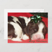 Het slaap Engelse Puppy van Kerstmis van het Feestdagenkaart (Voorkant / Achterkant)