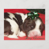 Het slaap Engelse Puppy van Kerstmis van het Feestdagenkaart (Voorkant)