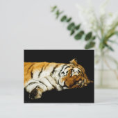 Het Slaapse Amur Briefkaart (Staand voorkant)