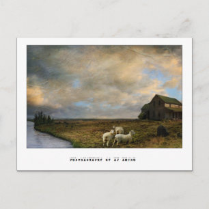 Het slachten - briefkaart