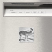 Het slachtoffer van de Rio de Azufre Magneet (Insitu (Vaatwasser))