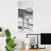 Het slachtoffer van de Rio de Azufre Poster (Thuiskantoor)
