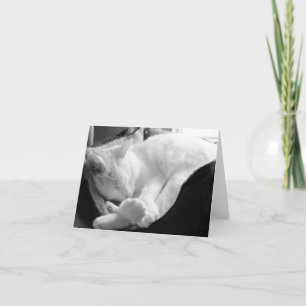 Het slapen Gepiep Kaart