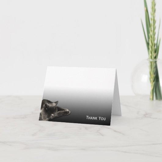 Het slapen Zwarte Kat op Zwarte Gradiënt Bedankkaart (Voorkant)