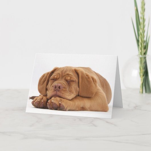 Het slaperige Franse Puppy van de Mastiff Feestdagen Kaart (Voorkant)