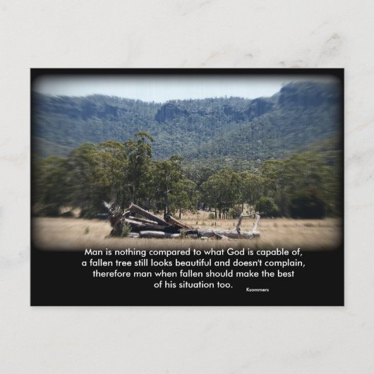 Het Slaperige Log, Man is niets vergeleken met wat Briefkaart (Voorkant)