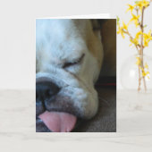 Het slaperige wenskaart van de Buldog van Bettie Kaart (Gele Bloem)
