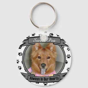 Het Sleutelhanger van de schat