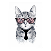 Het slimme Kat van Panka