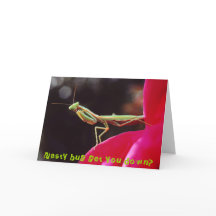 Het smerige insect wordt neer u?