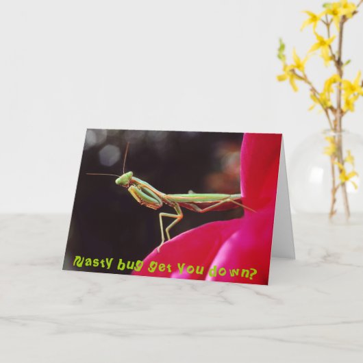 Het smerige insect wordt neer u? kaart (Gele Bloem)