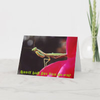 Het smerige insect wordt neer u?