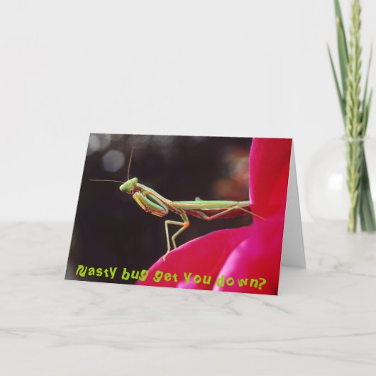 Het smerige insect wordt neer u? kaart (Voorkant)