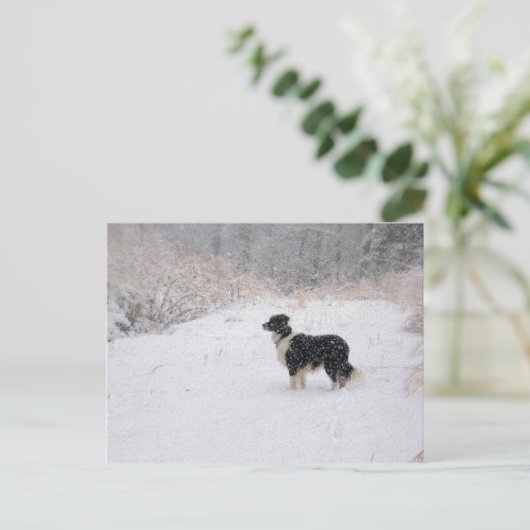 Het sneeuw Briefkaart van Border collie (Staand voorkant)